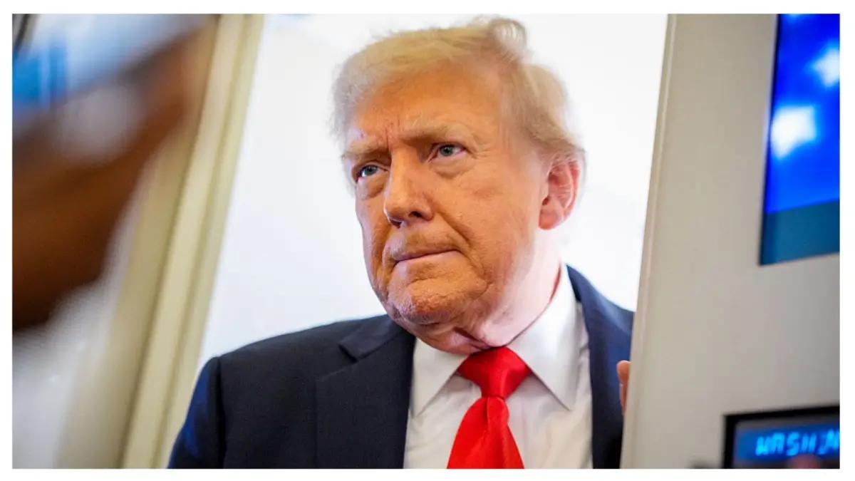 'He Didn't Even Read One Page': Donald Trump’s Attempt to Brag About a Book Backfires as Fans Catch Him in the Most Embarrassing Way