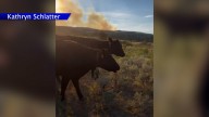 Crosho fire threatens Routt County ranchers; Families evacuating livestock