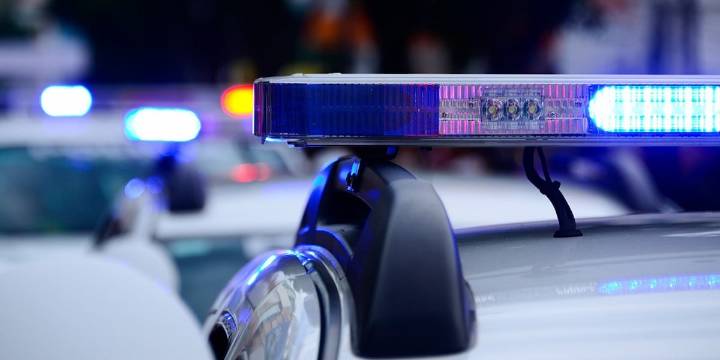 Woman in critical condition after being hit by car while walking dogs