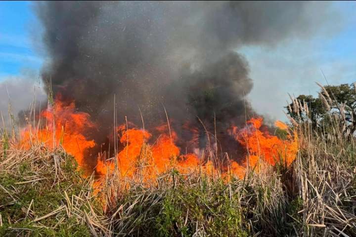 Incendio de gran magnitud movilizó a Bomberos en zona oeste de Paraná