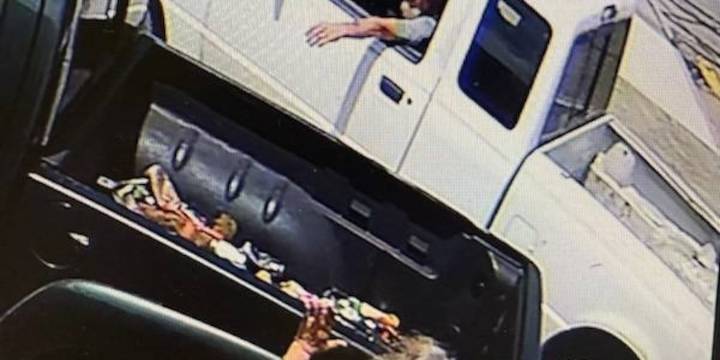 Police identify driver, vehicle in hit and run