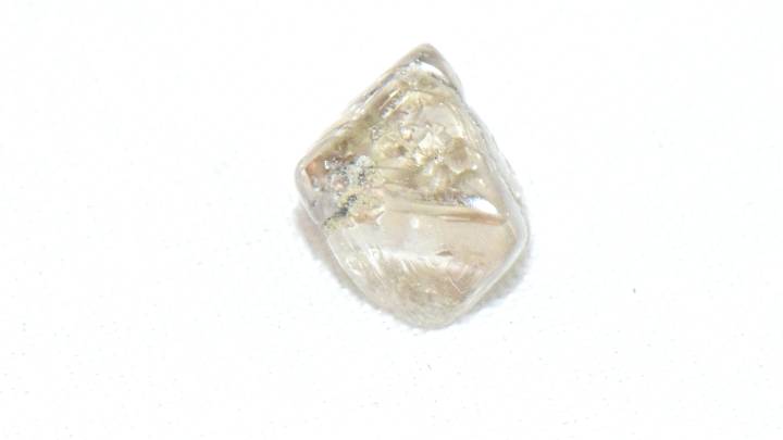 Woman unearths diamond for her own engagement ring at state park