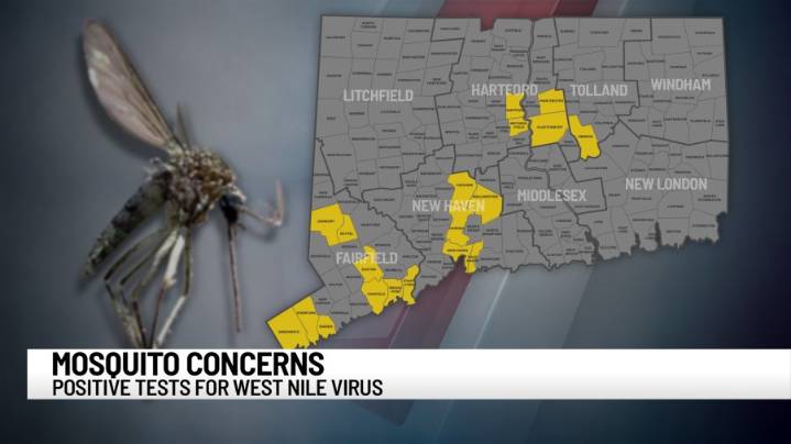West Nile virus detected in Connecticut. Here's where