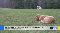 Casting opens for next “Air Bud” movie