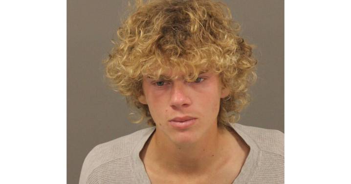 Rochester Hills man charged for allegedly using Instagram to meet 15