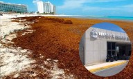 Quintana Roo pone en marcha centro pionero para monitoreo del sargazo en el Caribe