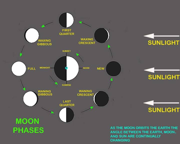 The moon’s constantly changing face