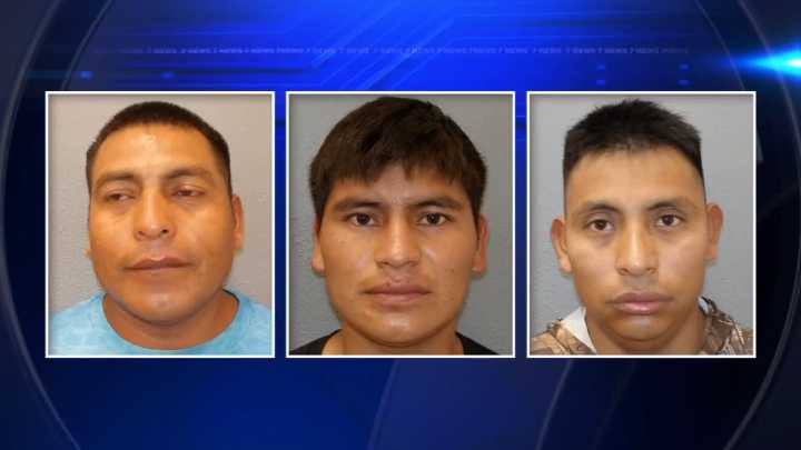FWC: 3 men arrested for violating lobster mini season laws in Islamorada 