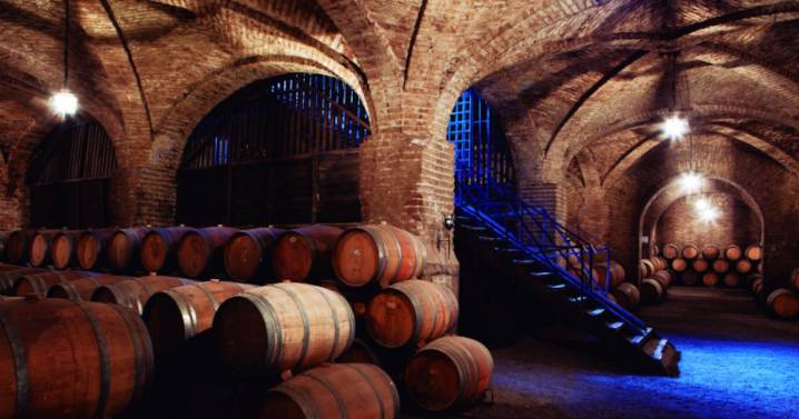 Viña Santa Carolina cierra filial en EEUU y principal cliente en Japón reduce compras de vino chileno