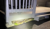 Timber rattlesnake removed from Wawarsing home