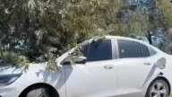 Hallan muertos a un hombre y una mujer dentro de un auto tiroteado