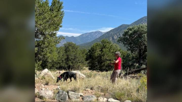 K-9 search held for 2016 cold case of missing mother