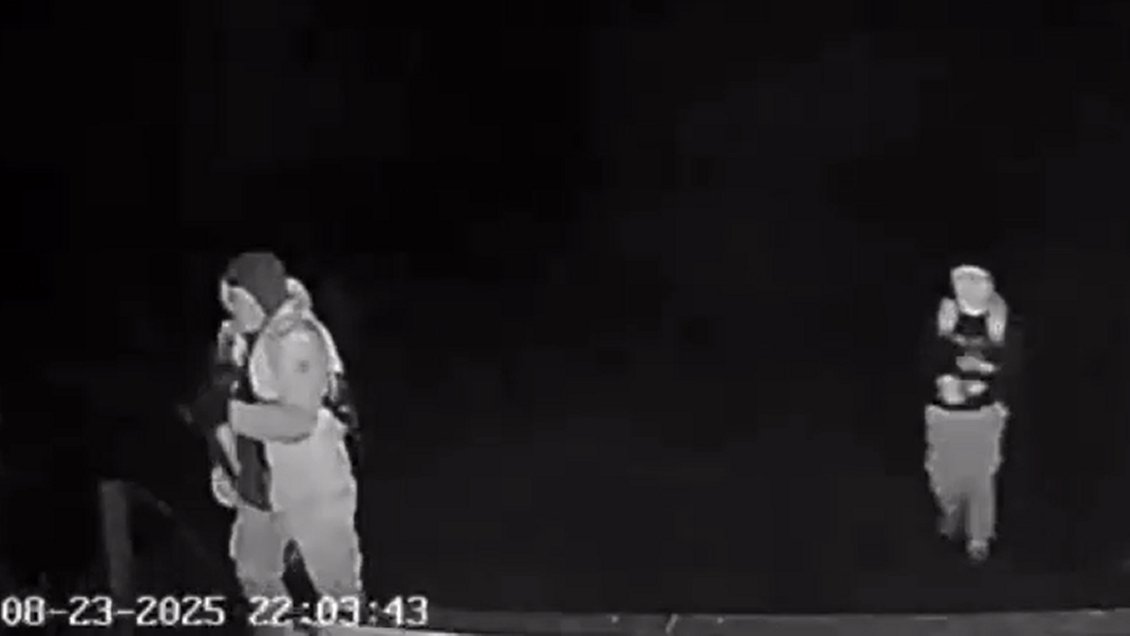 Contratistas forestales y violencia en el sur: Mucha baja estadística esconde una extorsión
