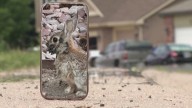 Expertos explican fotos de conejos con protuberancias faciales en Colorado