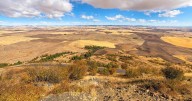 Why do foreign investors buy American farmland?