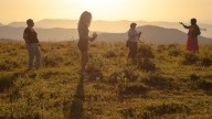 'There Was, There Was Not' Acquired in U.S. by Suncatcher, Watermelon