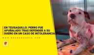 En Teusaquillo: perro fue apuñalado tras defender a su dueño en un caso de intolerancia