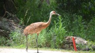 Planning outdoor fun in Calhoun County? Here's your weekend forecast