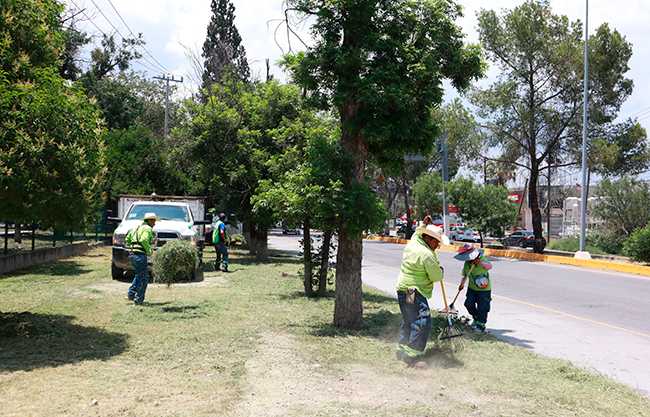 Llega “Aquí Andamos” a la colonia Jardines