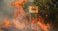 ¡En España, Grecia y Turquía! Ola de calor e incendios en Europa arrasan miles de hectáreas