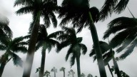 Se espera que la tormenta tropical Erin en el Atlántico se fortalezca y se convierta en el primer huracán de la temporada