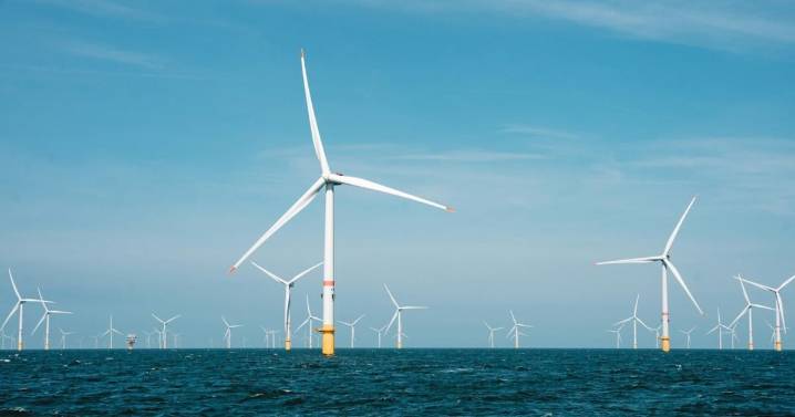 Study warns offshore turbine metals could be poisoning seafood