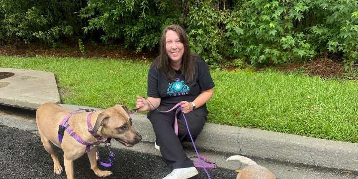 T.R.A.P.S: A local animal rescue group expands efforts to trap, advocate, and educate the community