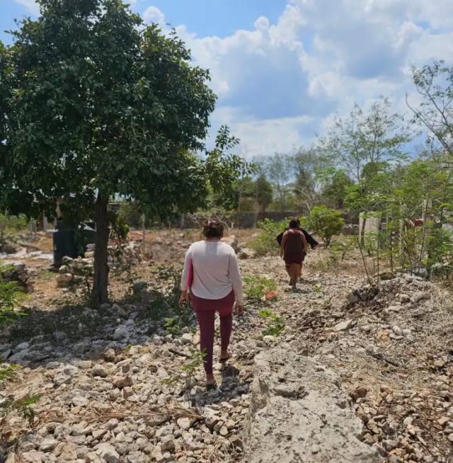 ¿Dónde acabaron 3 mil hectáreas de tierras?