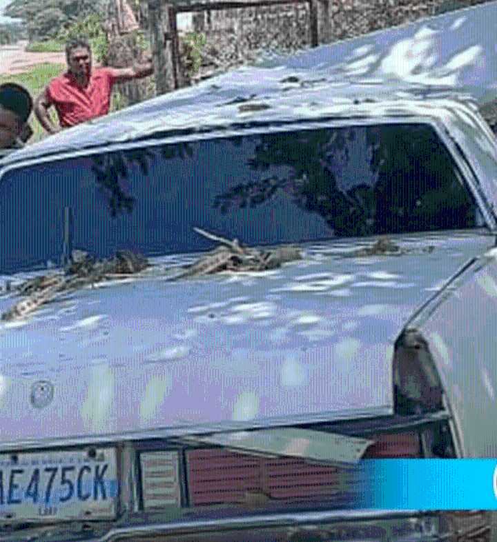 Accidente de tránsito en la carretera Lara-Zulia deja varios heridos