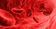 Desarrollan método que mide dosis de radiación en la sangre durante tratamientos de radioterapia