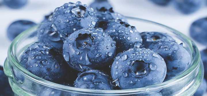 Los arándanos congelados brinda beneficios para tu salud