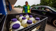 JCPS removes all milk from schools following quality issue