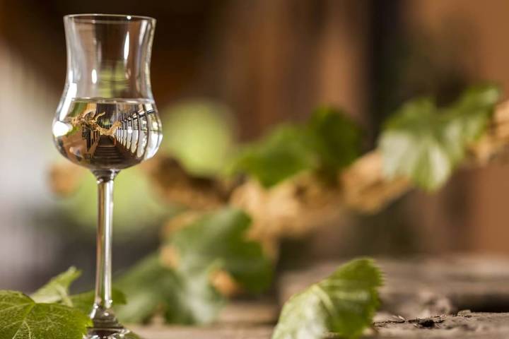 Gratis y para todo público: así es el festival de pisco que tomará Santiago este fin de semana