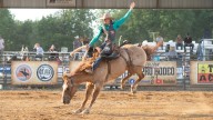 Calhoun County Fair celebrates 176th year