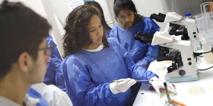 SERUMS 2025-II: Cuándo se conocerán los resultados de la evaluación para profesionales de la salud