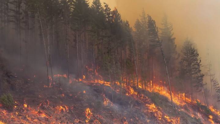 Mount Underwood wildfire deemed ‘being held’ by BC Wildfire Service