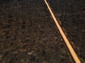 Última hora de los incendios en España, en directo | La Xunta admite que los múltiples incendios en Galicia “empiezan a desbaratar los servicios de emergencia”
