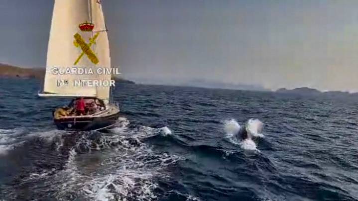 Al menos tres embarcaciones sufren ataques de orcas en la Costa da Vela
