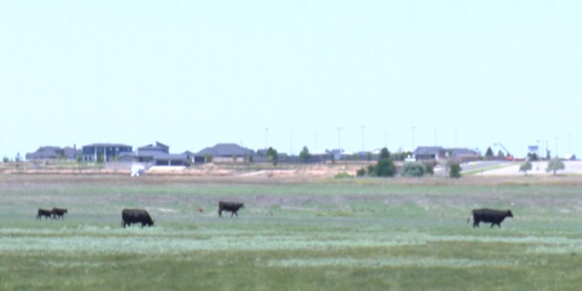High Plains Water District gives update on water use in Randall County