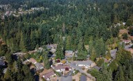 A new online tool could aid in local planning to increase tree coverage