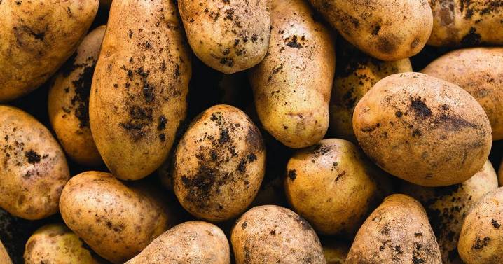 From Field to Fork: Potato tips & tasty recipes