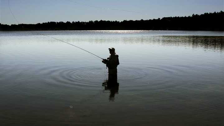 5 fun things to do this weekend in Northern Michigan