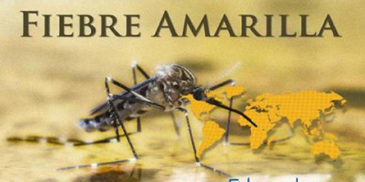 Ecuador elimina requisito de vacunación contra fiebre amarilla