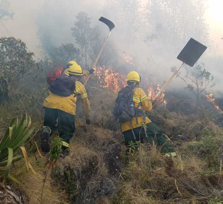 Incendios forestales: Cusco, Huánuco y Madre de Dios reportan mayor número de siniestros