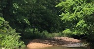 Joplin's Tin Cup Trail now open