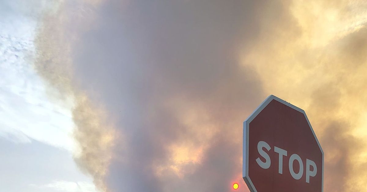 Un voluntario que donó una desbrozadora para la extinción del incendio de Castrocalbón pierde la vida en Nogarejas