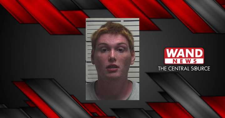 Effingham man arrested for motor vehicle theft