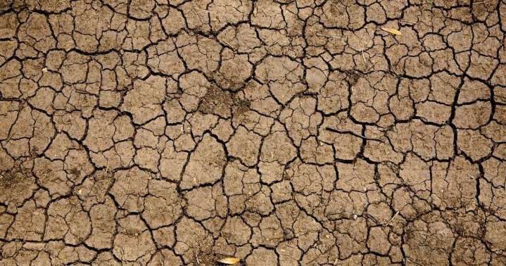 Why climate change is making salmonella outbreaks more common