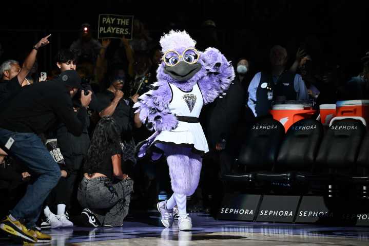 Valkyries Fans Are Loving Violet, the New Team Mascot