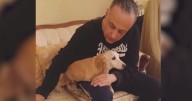 Bam Bam the Service Dog Reunited With Blind Owner Months After Being Stolen